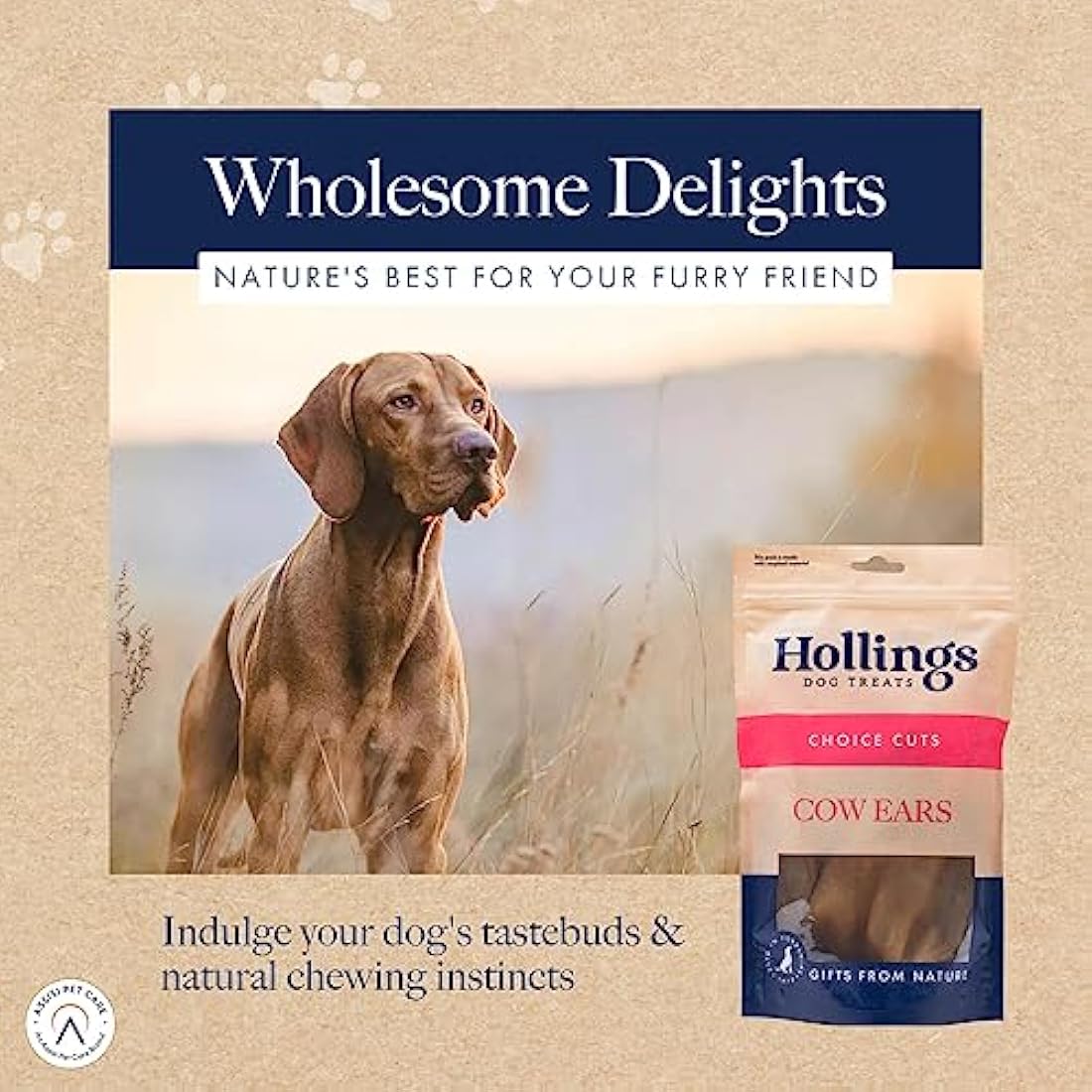 Hollings Cow Ears Dog Treats, 100% Natural & Nutritious Long Lasting Chew Treats for Adult Dogs, Grain Free & High in Protein (Pack of 40)