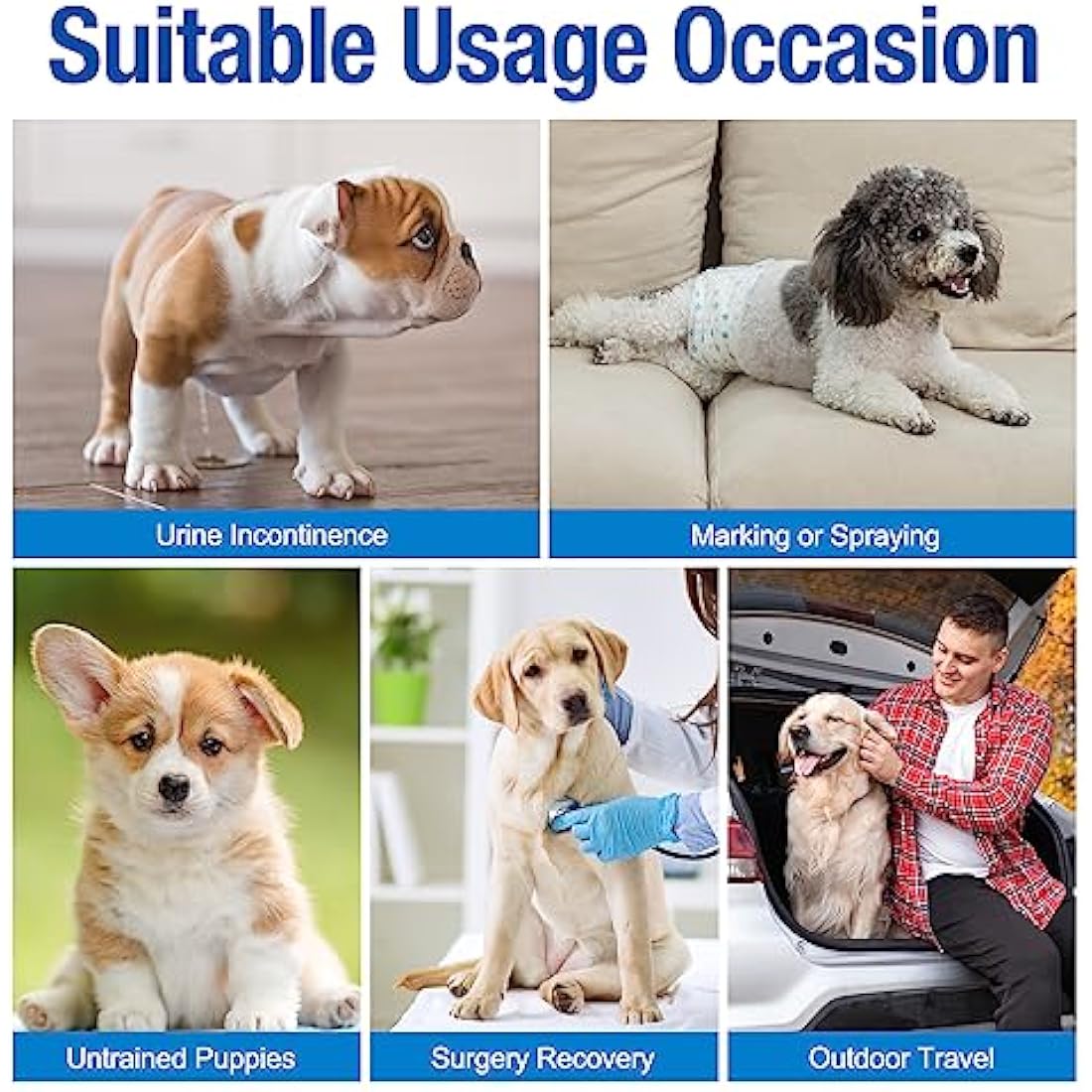 Pet Soft Disposable Dog Puppy Nappies Male - Super Absorbent Male Dog Incontinence Wraps