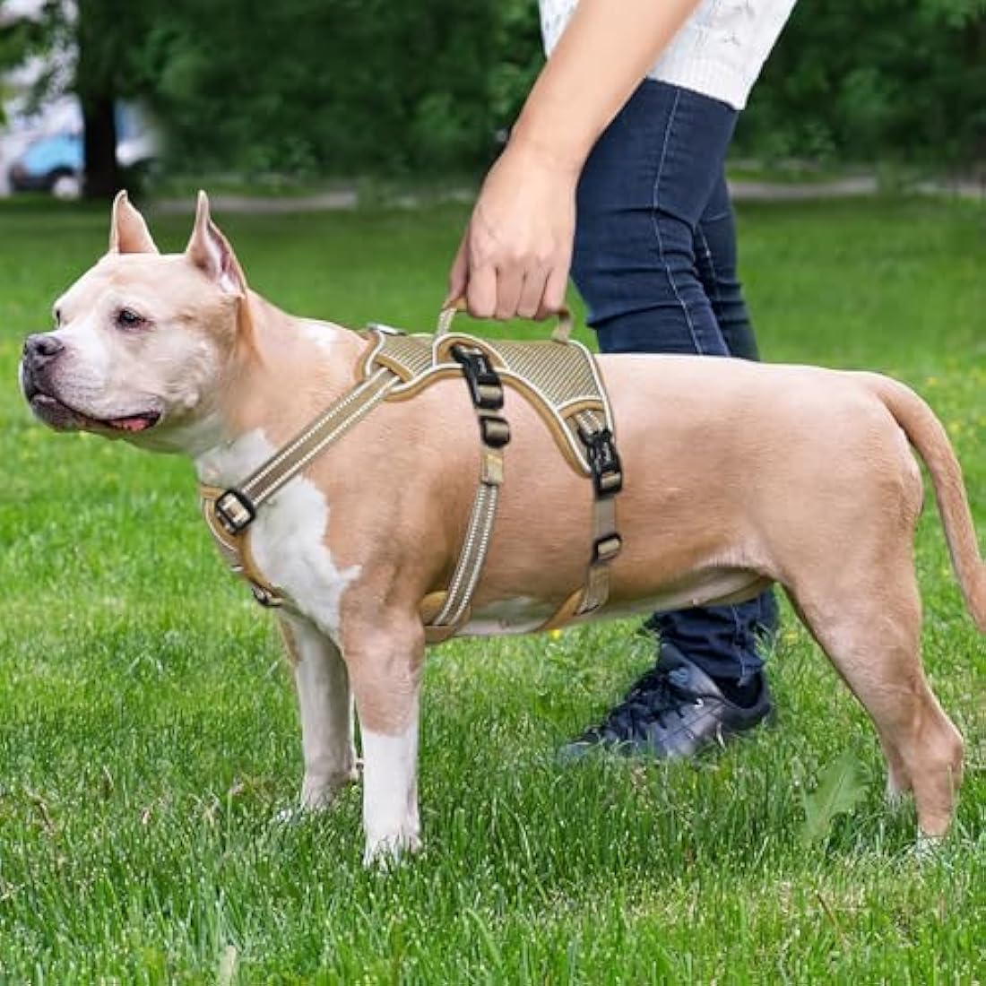 HEELE Escape Proof Dog Harness - No Pull Reflective Adjustable Vest with Durable Handle, Ideal for Large/Active Dogs, Brown