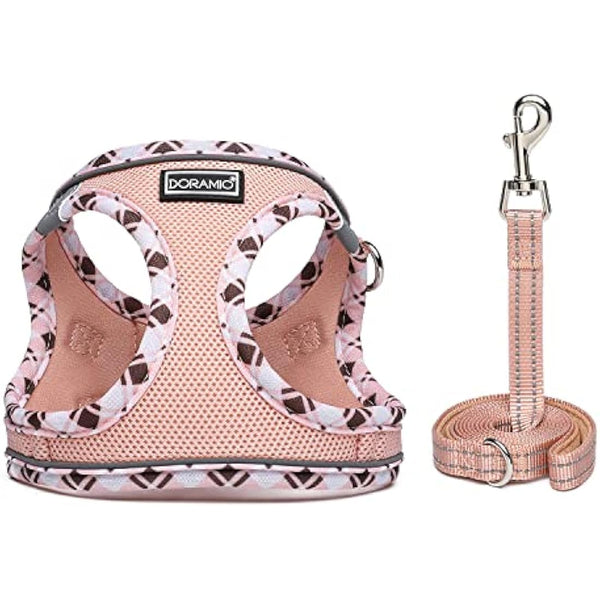 DORAMIO Step-in Dog Harness and Leash Set, Soft Mesh No-Chock Reflective Breathable Easy Walk Lightweight Vest Harnesses with Safety Buckle for Small Dogs, Cats, Puppies (Champagne, XS)