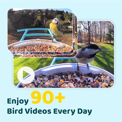 NETVUE by Birdfy Smart Bird Feeder Camera: Auto-Capture Video & Instant Alert, Collect Fun Clips, Solar Powered Bird Watching Camera Wireless Outdoor Garden, Blue