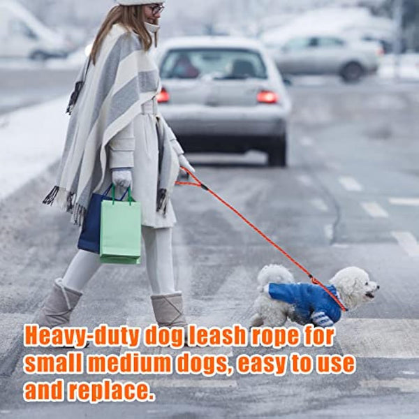 Dog Slip Lead, Extremely Durable Strong Dog Training Leash Rope, 150 cm Long Adjustable Pet Lead Leash For Small Medium Dogs (10-80 lbs)