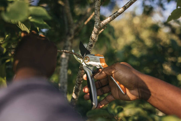 Fiskars 1057168 Plus Metal Secateurs Bypass Silver