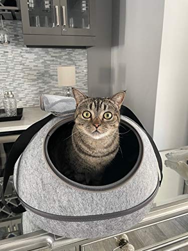 Doc & Phoebe Sleep and Go, Grey