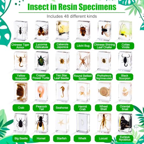48 Styles Insect in Resin Specimen, Bugs Collection Paperweights Animal Specimen for Kids Bug Preserved in Resin for Scientific Education Office Desk Christmas Display Supplies