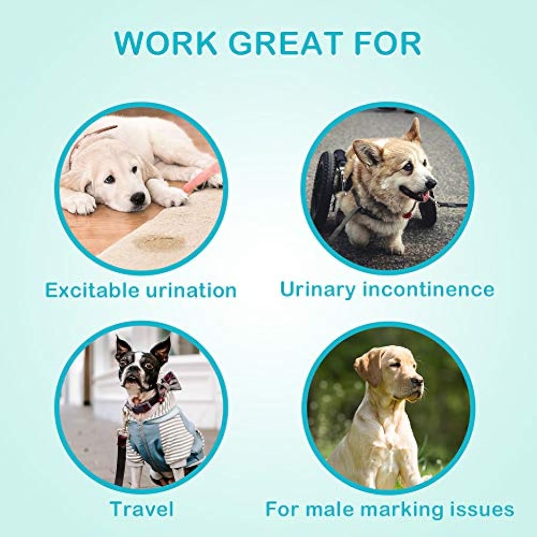 Flying Paws Male Dog Nappies, XS-60 Disposable Dog Wraps for Puppy Incontinence Super Absorbent Male Wraps, Soft Cotton, Stereoscopic Edge Fit for Potty Training, Travel