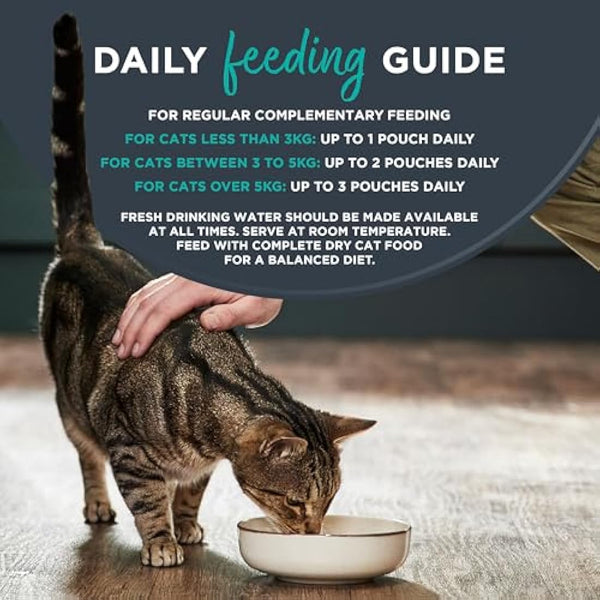 Encore Natural Wet Cat Food, Multipack Tuna with Fish Selection in Jelly 5 x 50g Pouch, Pack of 4 (Packing May Vary)