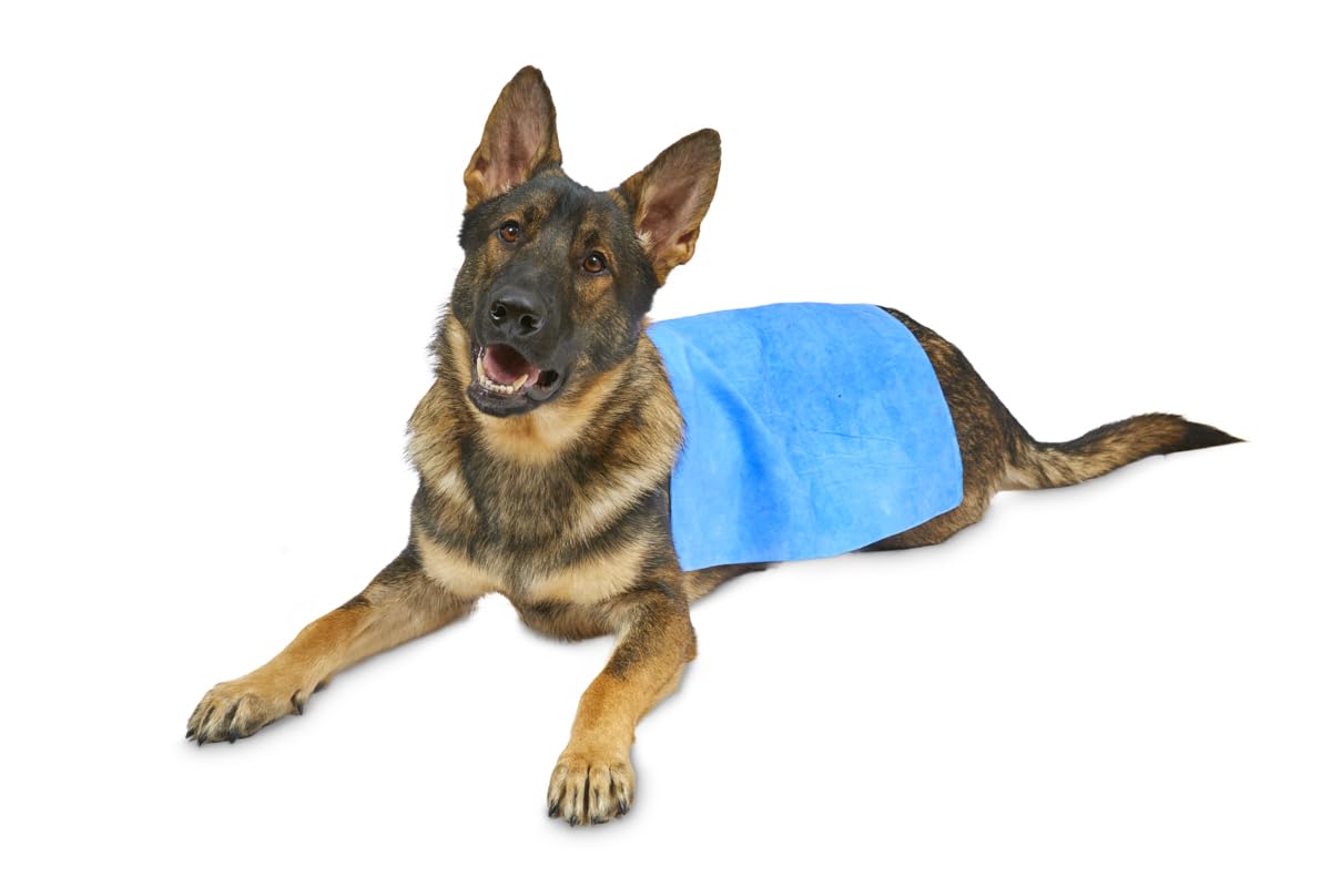 Petface Cooling Summer Dog Coat, 70 cm, Blue