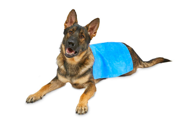 Petface Cooling Summer Dog Coat, 70 cm, Blue