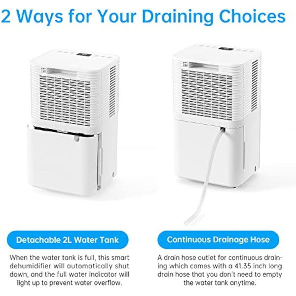 Hangsun 12L/Day Dehumidifier for Home Damp, Low Energy Dehumidifiers with Humidity Display, Laundry Drying, Continuous Drainage, 24H Timer Ideal for Large Room, Basement, Bedroom, Bathroom