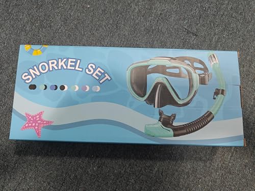 Lealinga Snorkel Set Adults Snorkel Mask Anti-Fog Panoramic View Diving Mask Dry Top Snorkel Kit with Travel Bag Diving Set for Snorkeling Scuba Diving Swimming Travel