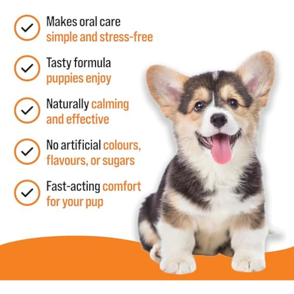 VETIQ Fast Pain Relief Teething Gel With Applicator, Relieves Irritation & Helps Reduce Unwanted Chewing For Dogs & Puppies 4+ Week, 50 g (Pack of 1)