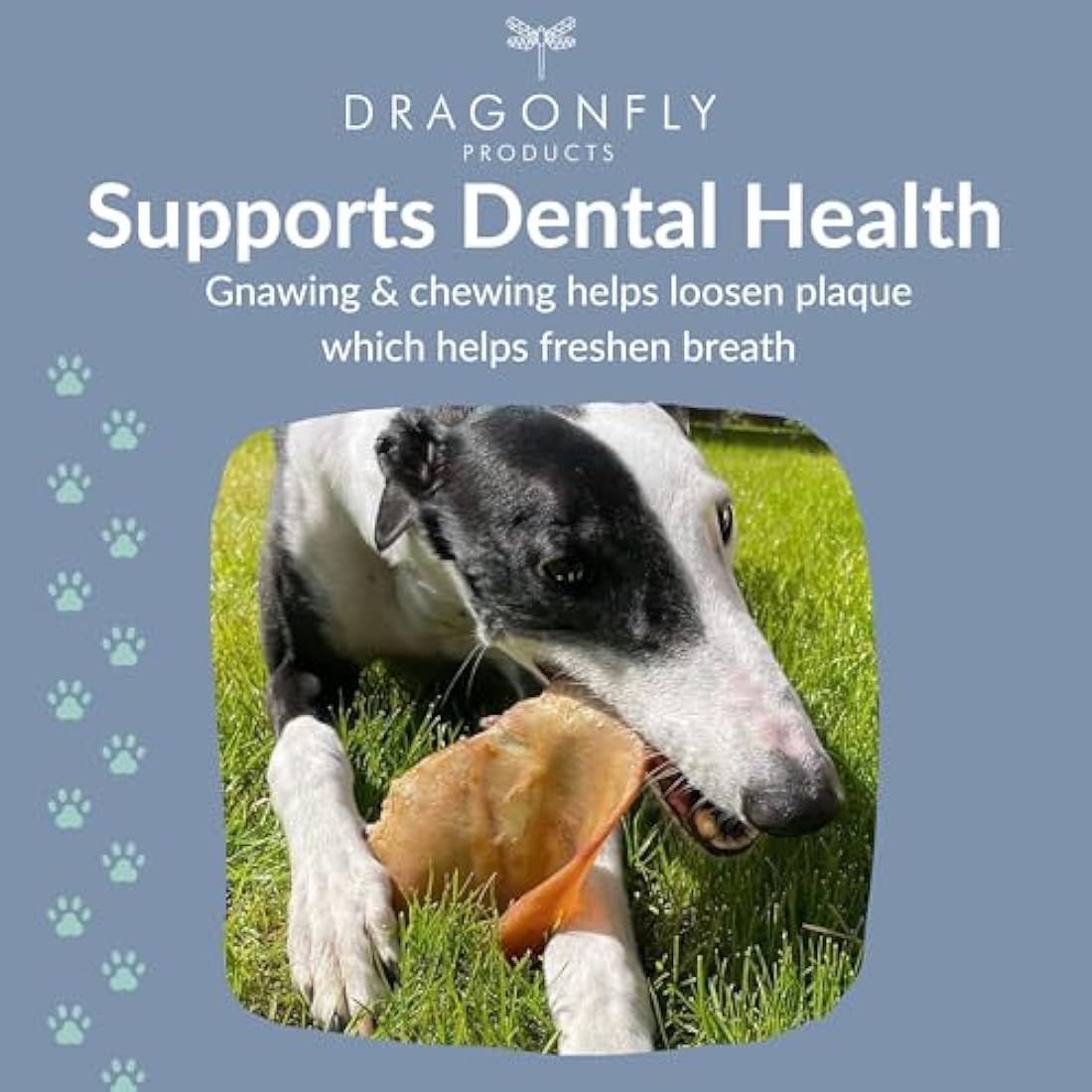 Dragonfly Products Pigs Ears For Dogs | 25 Large Pieces | British Whole Pork Ear Chew | Natural Raw Healthy Treat | Grain Free Long Lasting Snack