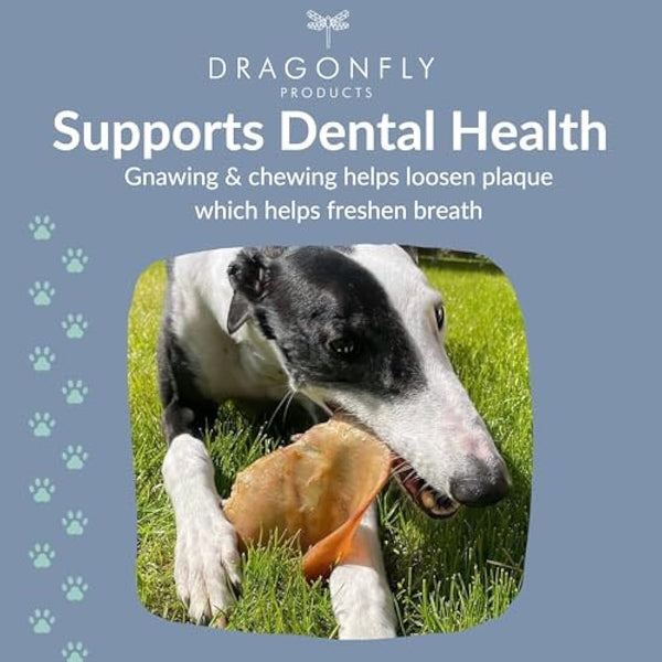 Dragonfly Products Pigs Ears For Dogs | 25 Large Pieces | British Whole Pork Ear Chew | Natural Raw Healthy Treat | Grain Free Long Lasting Snack