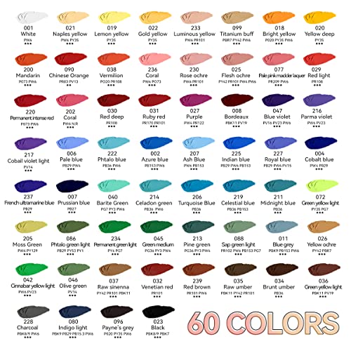 Paul Rubens Oil Pastels, 60 Colors Artist Soft Oil Pastels Vibrant and Creamy, Art Supplies for Artists, Beginners, Students, Art Painting Drawing