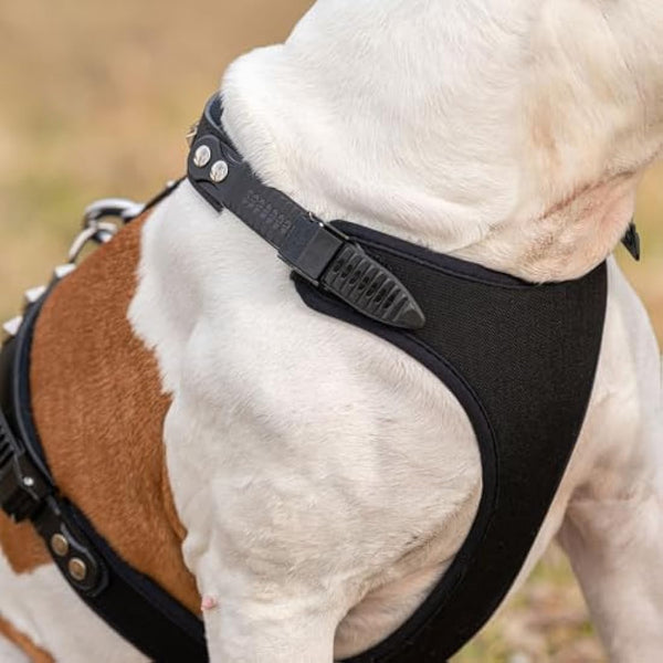 Ferplast Giotto Luxor Dog Harness, 50-70 cm/ 75-95 cm, Black