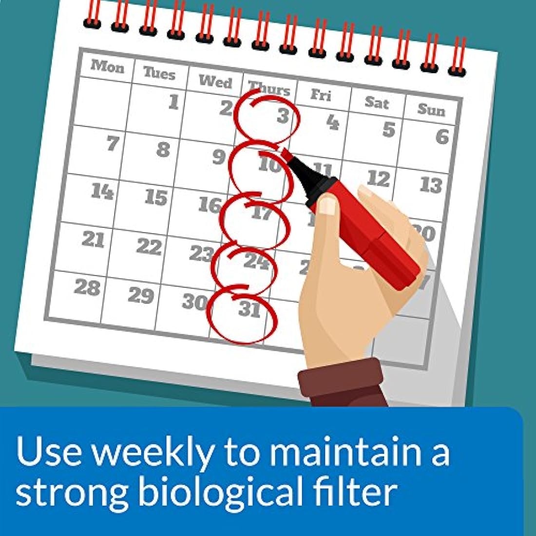 API STRESS ZYME Freshwater and Saltwater Aquarium Water Cleaning Solution 118 ml Bottle