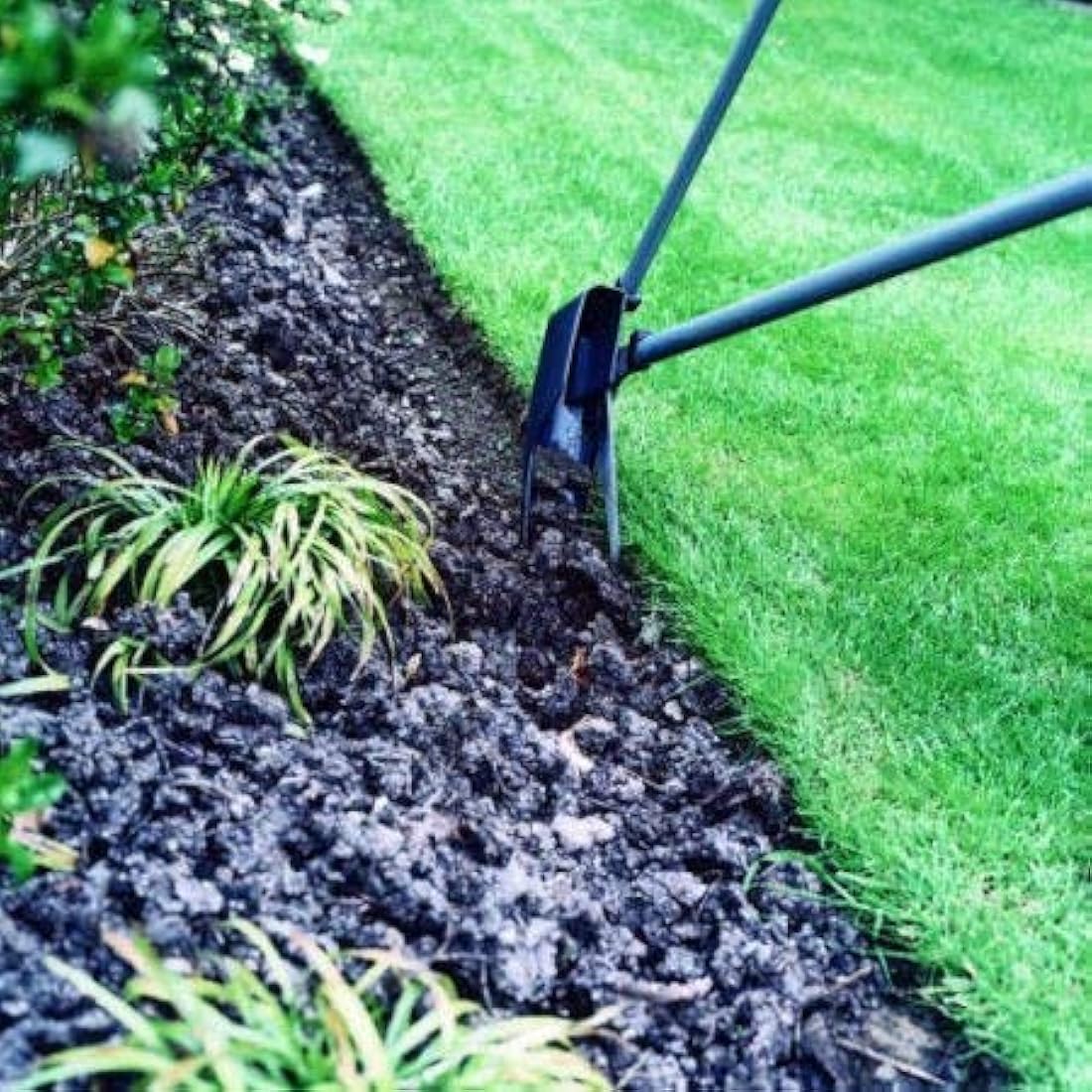 Eden Tools Ltd - ClipperBox - Garden Shear Attachment - Black - Contemporary - Parrot Beak Blade