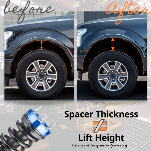 JINGLINGKJ 32mm Front and 51mm Rear Suspension Blocks Spacers Lift Up Kits for Hilux Vigo 2004-2019 Raise Adapter Shock Absorbers Strut Springs (Front and Rear)