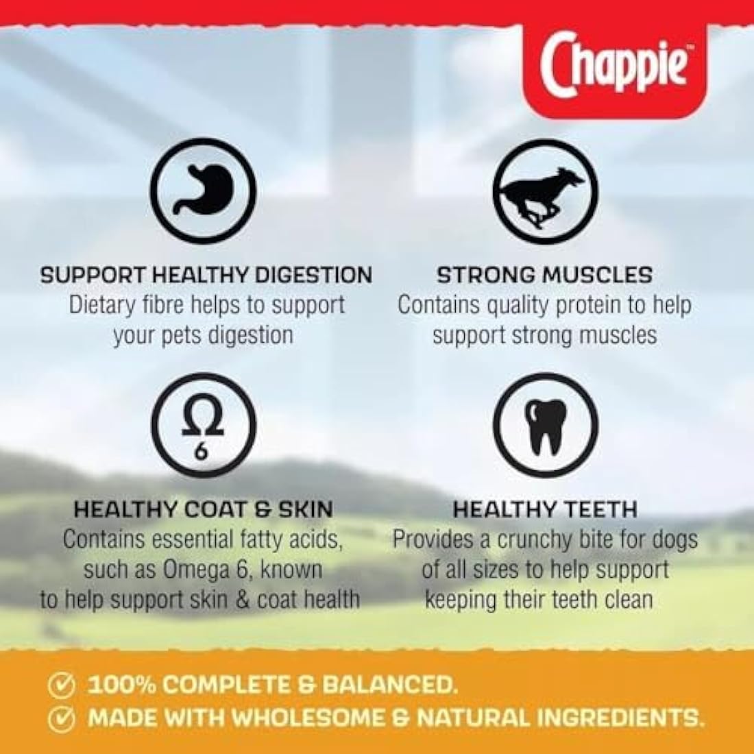 Chappie Complete Original 15 kg