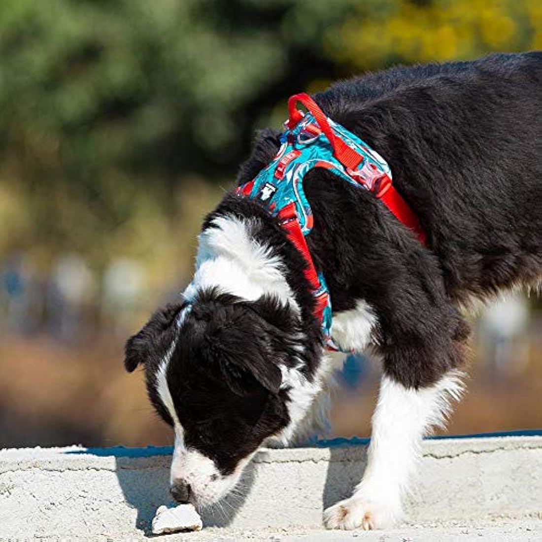 Dog Harness No Pull Adjustable Reflective Step-in Soft Nylon For Small Large Pet TLH5653(XL, Camouflage Blue)