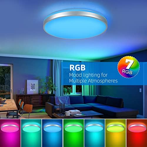 Horevo 24W LED Ceiling Light, Minimalist Silver Edge Ceiling Light with Remote Control and Bluetooth Speaker, 2000 Lumens Ø30cm Dimmable Ceiling Lights for Lounge, Living Room, Kids Room, Bedroom