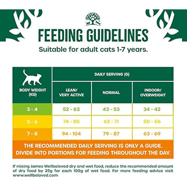 James Wellbeloved Complete Hypoallergenic Adult Dry Cat Food Made With 100% Natural Ingredients and One Source of Animal Protein (Fish), 4 kg