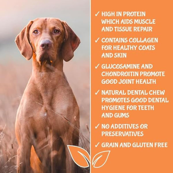 Extra Large Pigs Ears For Dogs 50 PACK - Delicious Tasting Naturally Air-Dried - High in Protein Aids Muscle and Tissue Repair - Contains Collagen for Healthy Coats.