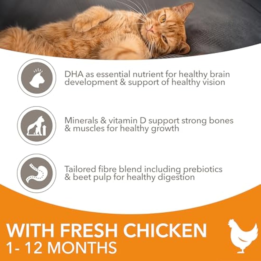 IAMS Kitten Complete Dry Cat Food Chicken 10kg - For Healthy Growth