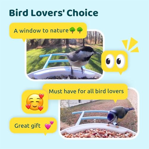 NETVUE by Birdfy Smart Bird Feeder Camera: Auto-Capture Video & Instant Alert, Collect Fun Clips, Solar Powered Bird Watching Camera Wireless Outdoor Garden, Blue