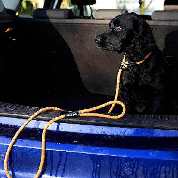 Total Pet Slip Lead For Dogs - Rope Anti Pull Dog & Puppy Training Lead with Neck Padding - 1.8 Metre, One Size Fits All, No Collar Required