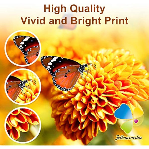 Jettruemedia T9451-T9454 Ink Cartridges Compatible with Epson T9451 T9452 T9453 T9454 Inks for Epson WorkForce Pro WF-C5710DWF WF-C5790DWF WF-C5210DW WF-C5290DW WFC5210 WFC5290 WFC5710 WFC5790(4-Pack)