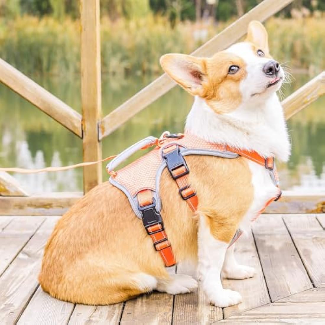 BELPRO Multi-Use Support Dog Harness, Escape Proof No Pull Reflective Adjustable Vest with Durable Handle, Dog Walking Harness for Big/Active Dogs (Orange, S)