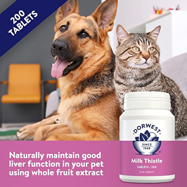 Dorwest Milk Thistle Tablets for Dogs and Cats, 200 Tablets, Supports Liver Function, Antioxidant for Dogs, Immune System Heath, Natural Supplement