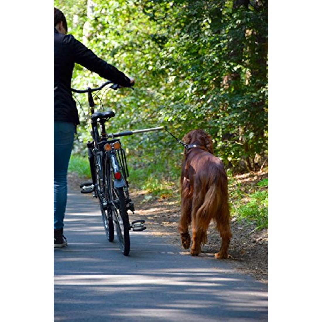 dobar® 62000 Walky Dog Plus Dog Bicycle Lead, Stainless Steel Spacer, Bicycle Holder with Triple Rear Damper, Traction Lead with Quicklock and Spacer, 37.5 cm, Silver