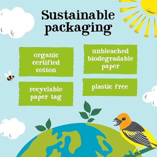 Clipper Latin American Organic Instant Decaf Coffee | 6 x 100g Jars | Bulk Buy Gourmet Decaffeinated Instant Coffee | Sustainable Fairtrade Arabica by Clipper Teas | Ethically Sourced & Eco Conscious