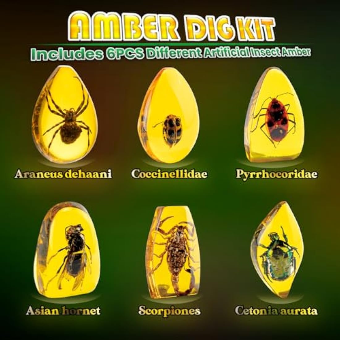 Amber Mega Fossil Dig Kit，Real Crystals & Gemstone Fossil Science Kits for Kids Age 6 7 8 9 10， Rocks & Stones & Bugs Excavation Kits， Educational Toys Gifts Toys for 6+ Year Old Girls Boys