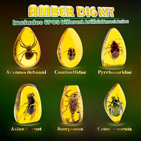 Amber Mega Fossil Dig Kit，Real Crystals & Gemstone Fossil Science Kits for Kids Age 6 7 8 9 10， Rocks & Stones & Bugs Excavation Kits， Educational Toys Gifts Toys for 6+ Year Old Girls Boys