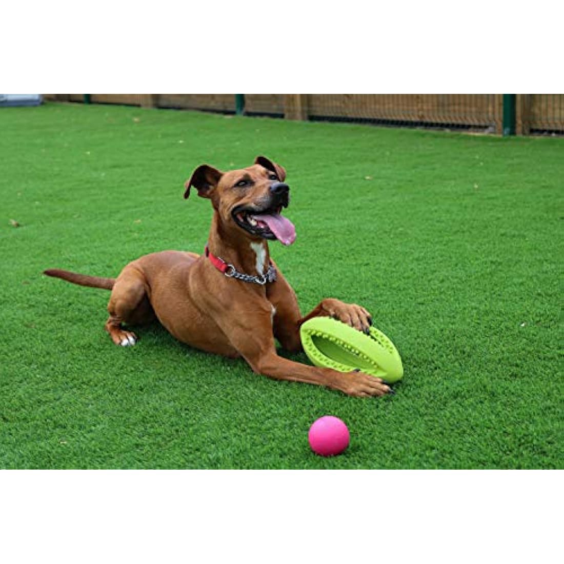 Happy Pet Grubber Rugby Ball Dog Toy Strong Fun Interactive Bouncy Chewing Outdoor Playing Catch Fetch Lightweight Tugging Pulling for All Breeds