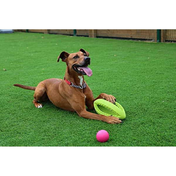 Happy Pet Grubber Rugby Ball Dog Toy Strong Fun Interactive Bouncy Chewing Outdoor Playing Catch Fetch Lightweight Tugging Pulling for All Breeds