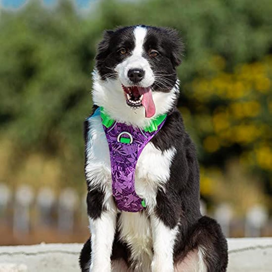 Dog Harness No Pull Adjustable Reflective Step-in Soft Nylon For Small Large Pet TLH5653(XL, Camouflage Purple)