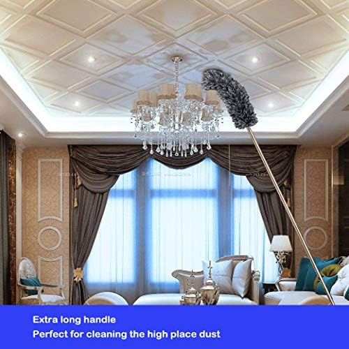 Feather Extendable Telescopic Pole, 100 inches, Microfiber Duster with Washable Bendable Head, for High Ceiling Fans, Blinds, Cobweb, Cars