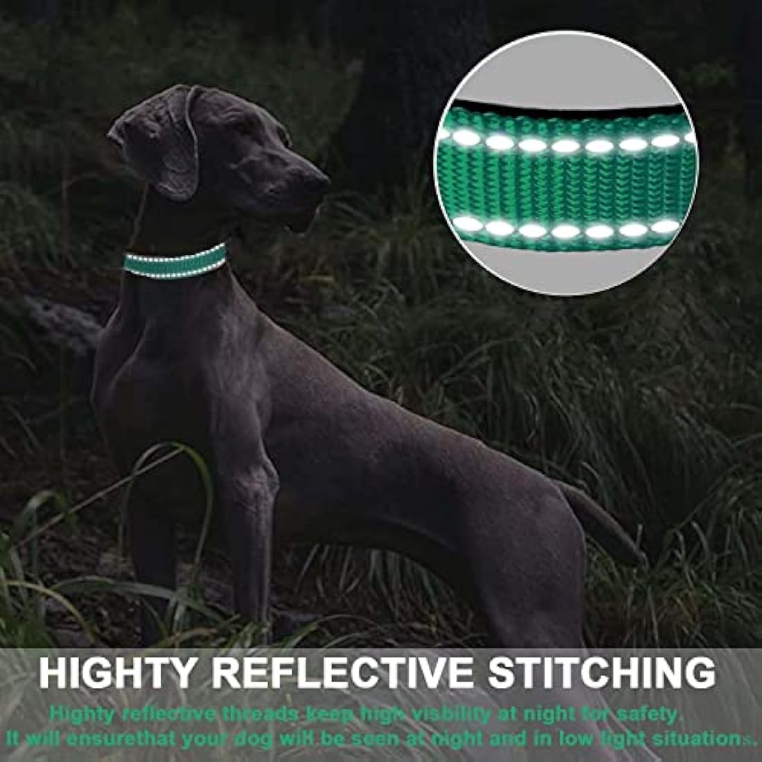 Dog Collar, Reflective Adjustable Basic Dog Collar with Soft Neoprene Padding, Durable Nylon Pet Collars for Puppy Medium Dogs