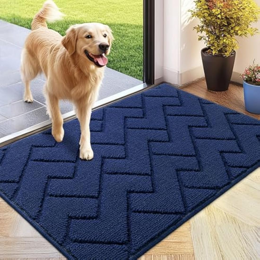 Biscpro Door Mat 60x90 cm, Indoor DoorMat Washable, Doormat Indoor Dirt Trapper Non-slip, Absorbent Inside Entrance Rug Floor Mat for Entryway, Patio, Garden, laundry Room,Pets and Dogs - Blue