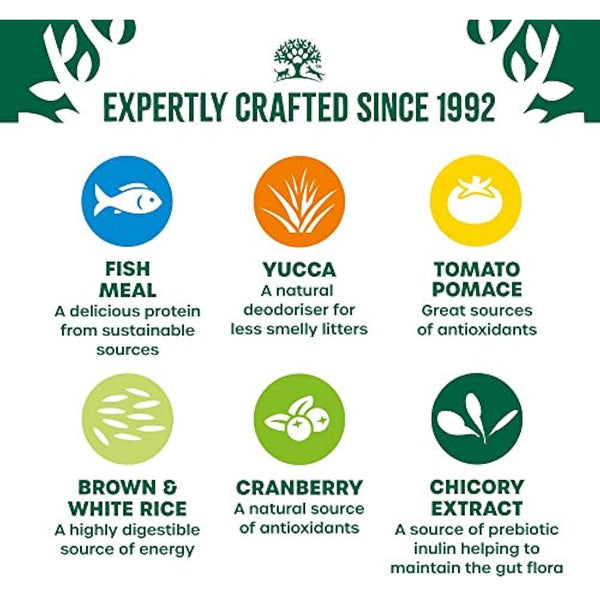 James Wellbeloved Adult Fish 10 kg Bags, Hypoallergenic Dry Cat Food