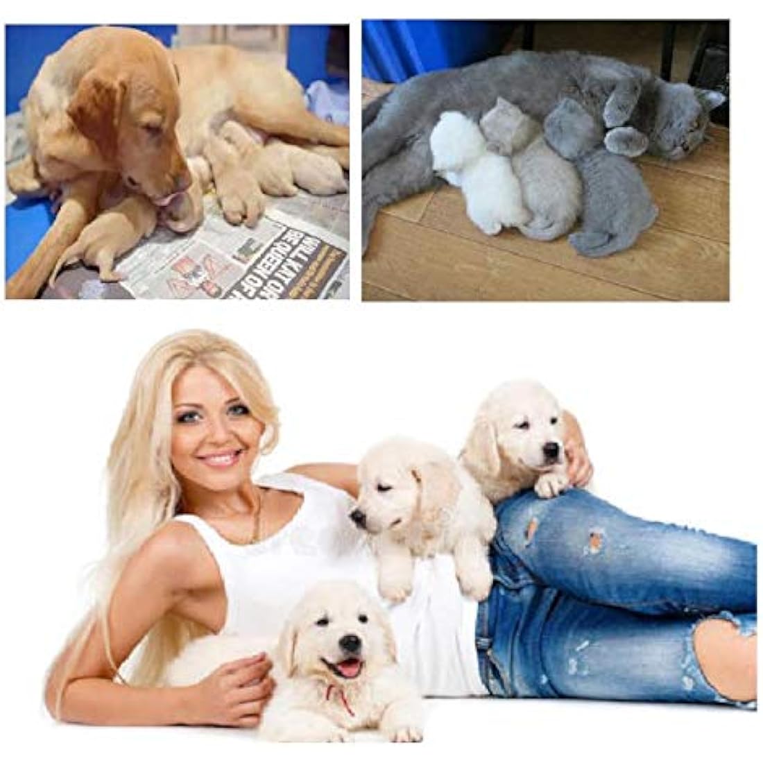 GSSFASHION Puppy Kitten Whelping Kit, Whelping Kit with Feeding Nipple Bottle Scissors Cord Clamps Aspirator etc Full kit