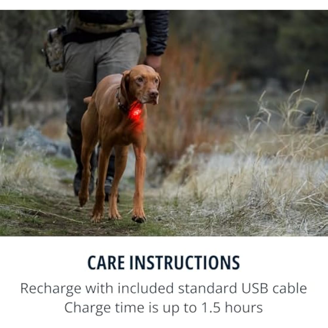 RUFFWEAR The Beacon Dog Safety Light, Waterproof Dog Collar Light, LED Pet Dog Collar Buckle Night Light, Safety Clip On Flashing Dog Light for Dog Leads & Harnesses, Rechargeable Dog Light, Clear