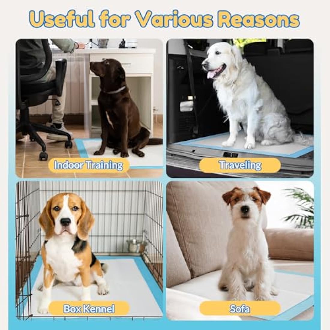 Barpor Puppy Training Pads 100 Pack - Large Dog Training Pads 60x60cm Super Absorbent Leak-Proof Anti-Slip Heavy Duty, 5-Layer Design with Quick Dry Surface