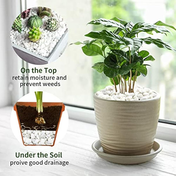 FANTIAN 2lbs Natural White Gravel Pebbles for Garden, 6-9 mm White Stones for Garden Fish Tank Gravel Aquarium Succulent Cactus Vase Landscaping and Outdoor Decorative Stones