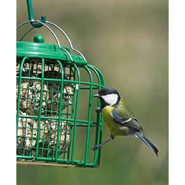 Fat Balls For Wild Birds - Jacobi Jayne® Chunky Dumplings™ Premium Suet Balls - Pack Of 18 x 100g - High Energy Fat Balls Wild Bird Food Feed To Attract Small Wild Birds Year Round